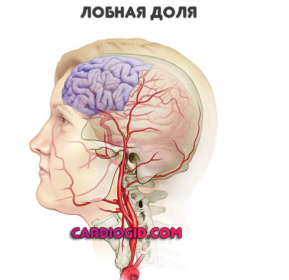 Причины и симптомы инфаркта головного мозга thumbnail